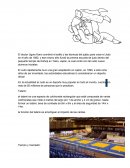 Monografía sobre el Judo.