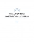 TRABAJO ENTREGA INVESTIGACION PRELIMINAR.