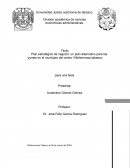 Plan estratégico de negocio: un plan alternativo para las pymes en el municipio del centro Villahermosa tabasco