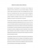 PERSPECTIVA DEL GRUPO A CERCA DEL PROYECTO II