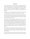 Introduccion perfil de puestos