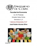 Ensayo de Jabones Artesanales.
