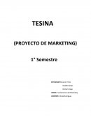 Estudio del uso de casinos en Institutos Profesionales.