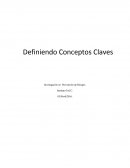 Definición de conceptos claves.