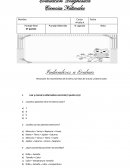 Prueba diagnóstico Ciencias Naturales Cuarto Básico