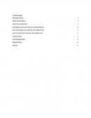 DESARROLLO DE UNA POLITICA DISCIPLINARIA