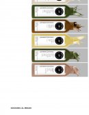 DEFINIENDO EL MERCADO