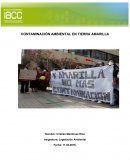CONTAMINACIÓN AMBIENTAL EN TIERRA AMARILLA