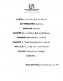 PRACTICA 6: “Reacciones Químicas en Serie”