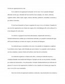 Niveles de organizacion de los seres vivos.