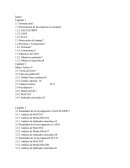 Presentación de las empresas en estudio