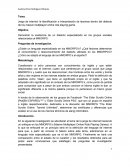 Jerga de internet: la identificación e interpretación de lexemas dentro del dialecto de los masive multiplayer online role playing game.