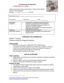 Renacimiento- Guia Video Evolucion.