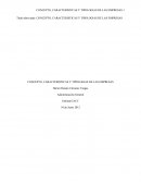 CONCEPTO, CARACTERISTICAS Y TIPOLOGIAS DE LAS EMPRESAS. El impacto social de las empresas y su incidencia