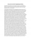 ENSAYO SUSTENTABILIDAD PEMA.