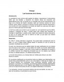 Ensayo Las funciones de la forma.