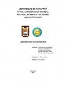 Econometria laboratorio ejercicios