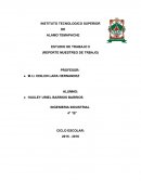 ESTUDIO DE TRABAJO II (REPORTE MUESTREO DE TRBAJO)