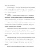 Ejercicio físico y calentamiento