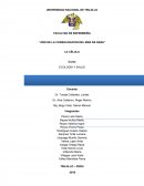 ECOLOGÍA Y SALUD. Coordinador General