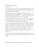 LA GRAN GESTION DE ALMACENAMIENTO