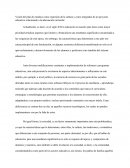 Visión del plan de estudis como expresión de la cultura y como integrador de un proyecto educativo relacionado a la adecuación curricular.