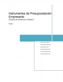 Instrumentos de Presupuestación Empresarial Carpeta de evidencias. Unidad 2