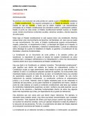 Apuntes de Derecho Constitucional.