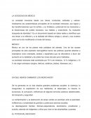 EN QUE HEMOS CAMBIADO LOS MEXICANOS?.