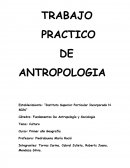 La cultura y sus componentes en la sociedad