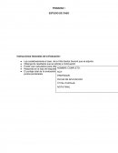 CASO VIÑA SANTOS DUMONT.