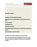 La pymes en investigación no cuenta con misión, visión y objetivos, así como un rol de funciones por cada colaborador, ni organigrama visible en el cual se pueda identificar cada colaborador.