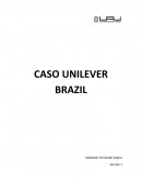 Caso Unilever Brazil