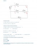 Feedback electricidad- Aplicando los valores