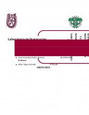 Las “Leyes fundamentales de Iluminación”