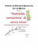 La Estructura y nutrición de los seres vivos.