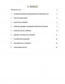 PPG Analisis economicos