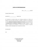 CARTA DE RESPONSABILIDAD