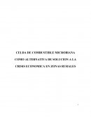 CELDA DE COMBUSTIBLE MICROBIANA COMO ALTERNATIVA DE SOLUCION A LA CRISIS ECONOMICA EN ZONAS RURALES