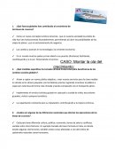 ¿Qué fuerzas globales han contribuido al crecimiento de las líneas de cruceros?