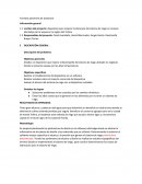 Formato panorama de proyectos.