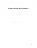 DIRECTRICES TRABAJO FINAL CASO MIMOY ESTUDIO DE UN CASO DE DIRECCION DE EMRESAS DE LA UNIVERSIDAD DE VALENCIA.