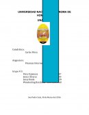 Caso de Balanza de Pagos. Costa Rica