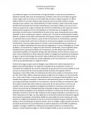 Guerra contra el agua