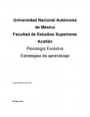 Psicología Evolutiva- Estrategias de aprendizaje