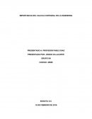 Importancia del calculo en la ingenieria