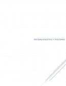 El mantenimiento del animal, el aumento de peso y la producción de leche dependen en gran medida del consumo de alimento
