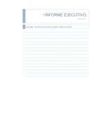 INFORME EJECUTIVO ENERCEL