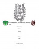Nombre De La Práctica: “Crecimiento De Cristales”
