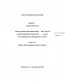 En el presente ensayo se analizará lo observado dentro de la escuela “Luis López Mina”